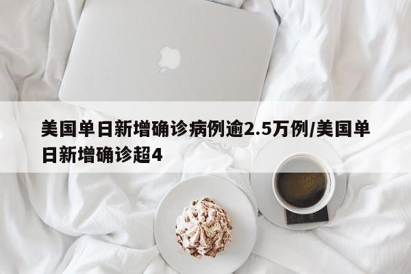 美国单日新增确诊病例逾2.5万例/美国单日新增确诊超4
