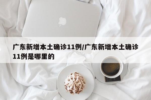 广东新增本土确诊11例/广东新增本土确诊11例是哪里的